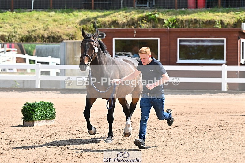 240718A-105239-00981 - Trot Up 11am to 12pm