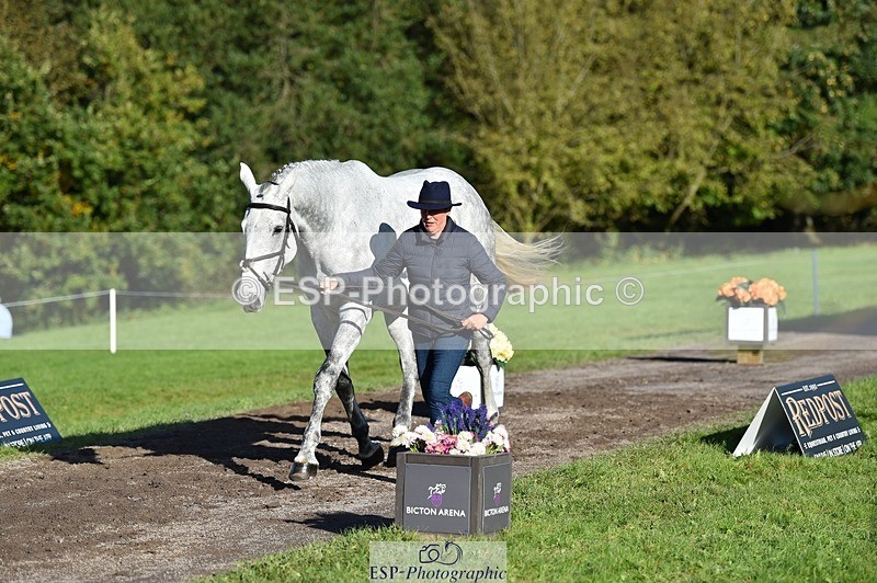 231022-104218-22677 - 485-BGS.MISTER.MUSCLE-Sally.Corrigan-TrotUp+SJ