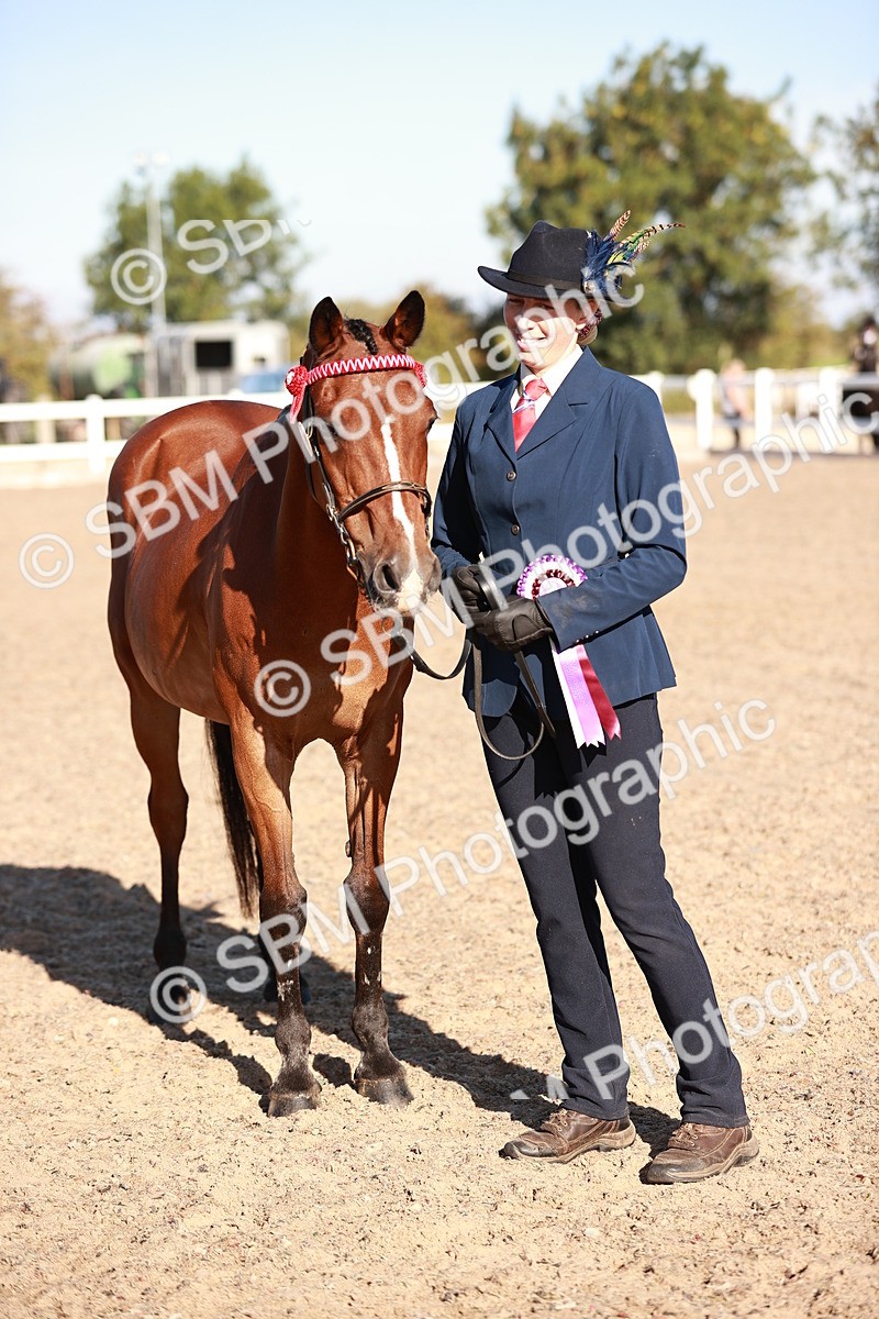 SBM_11470 - Class 402 - IH  Veteran pony