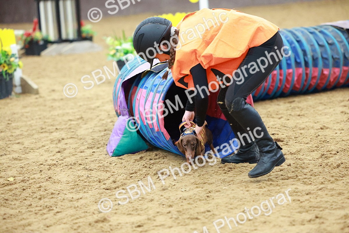 SBM_002208 - Class 3 - Horse & Hound (60cm)
