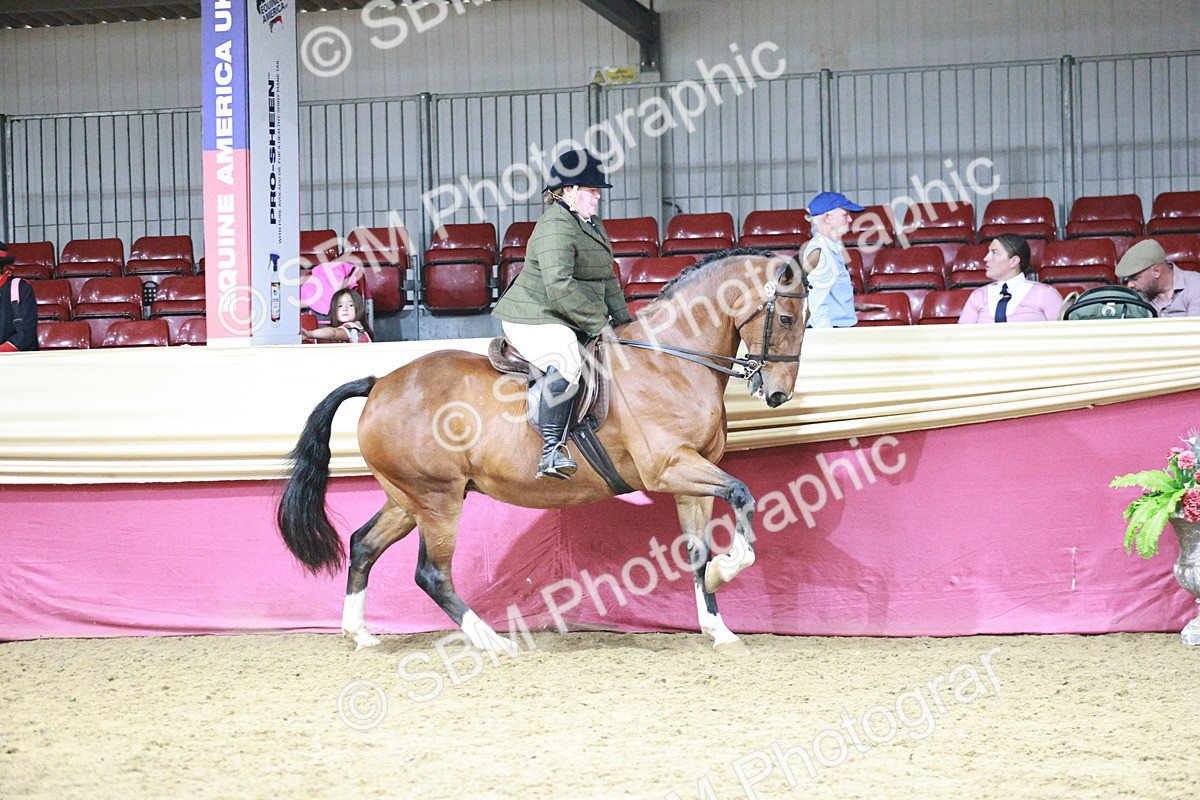 SBM_08019 - Class 11R - Regional Ridden Veteran