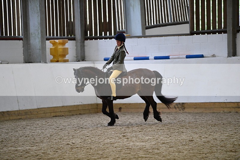 WJ5_6922 - Class 10 Childs Pony