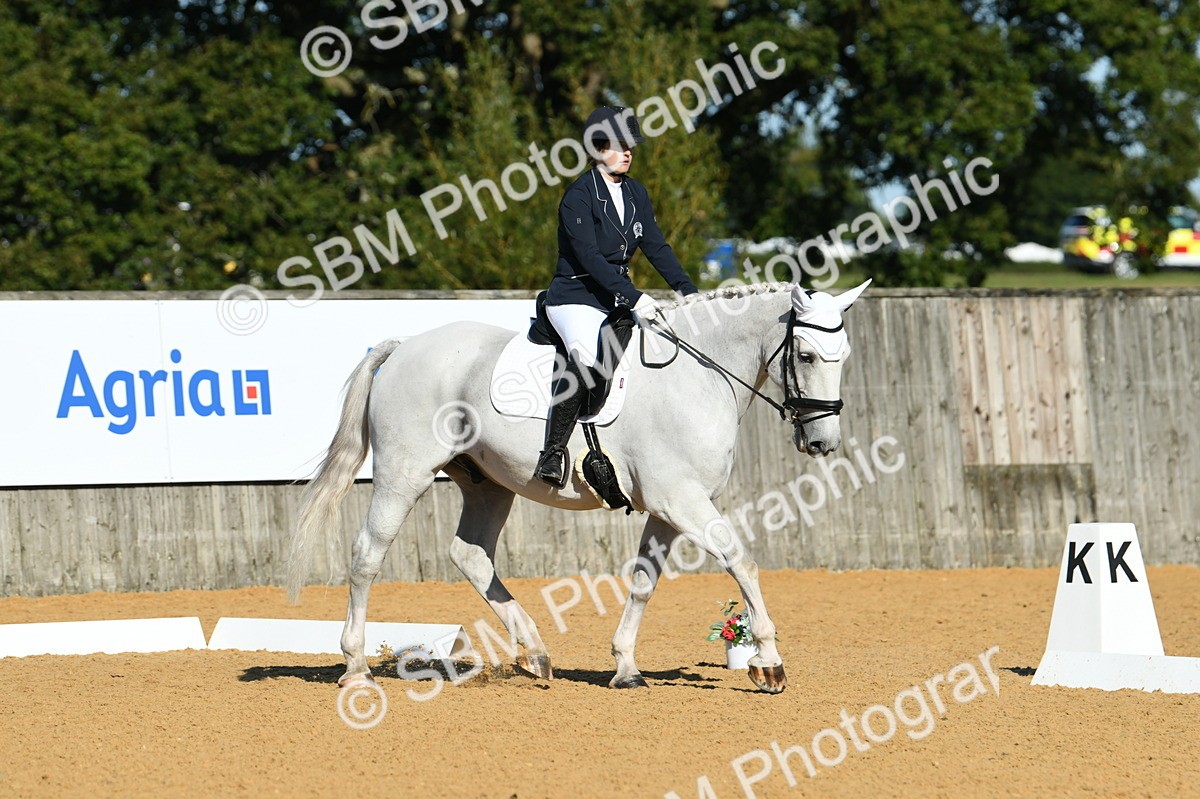SBM_16241 - D4 - Small Tour Championship - Intro B