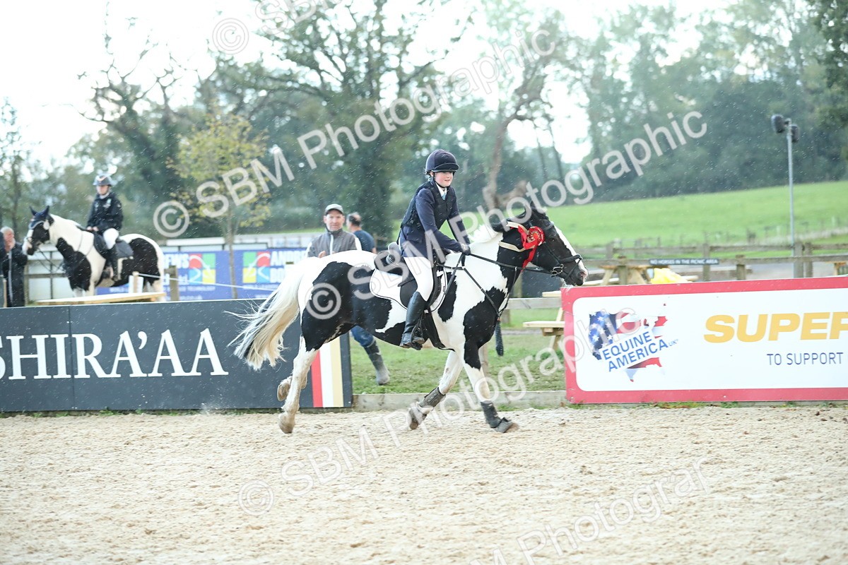 SBM_53802 - Supreme Championship 65cm 70cm