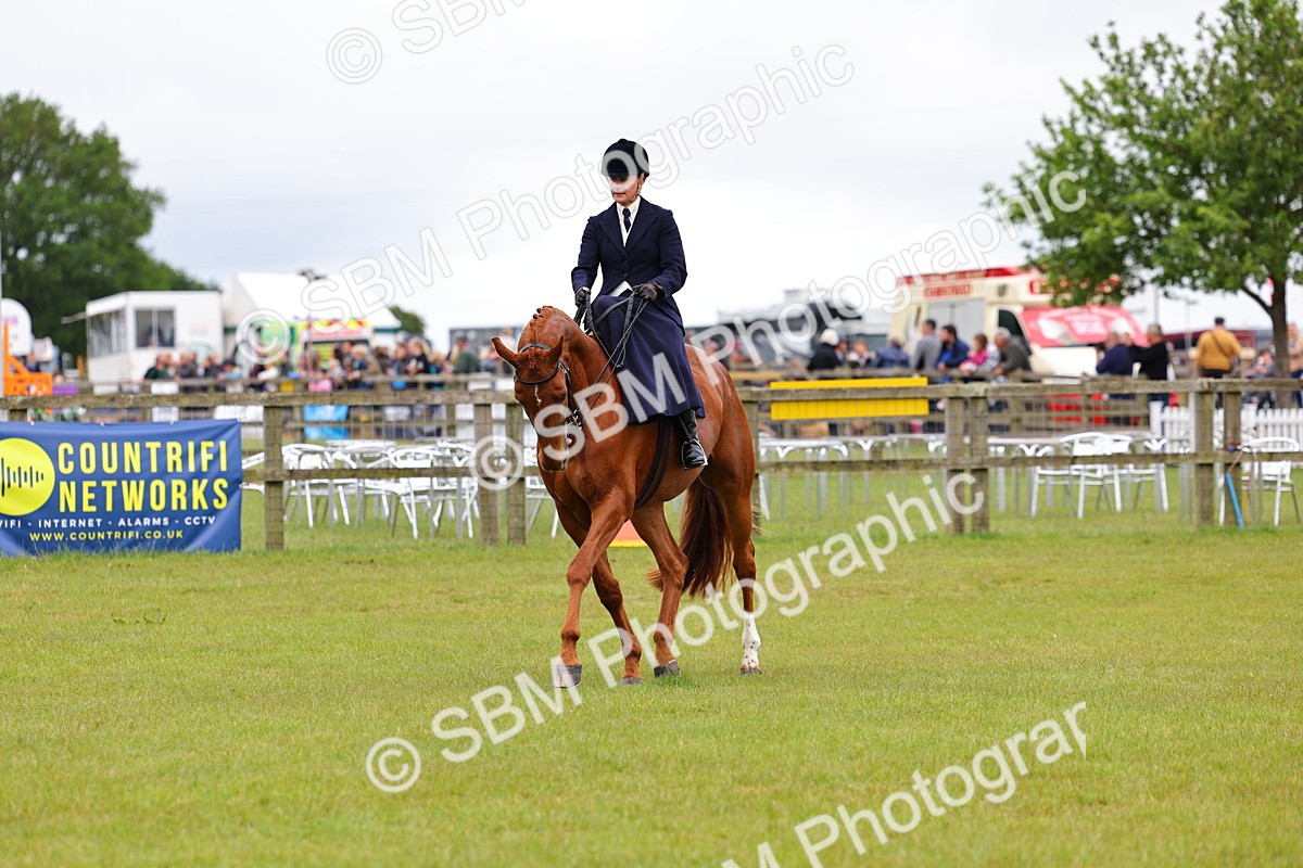SBM_02948 - Class 9-11 Side Saddle including LIHS Rising Star Ladies Show Horse