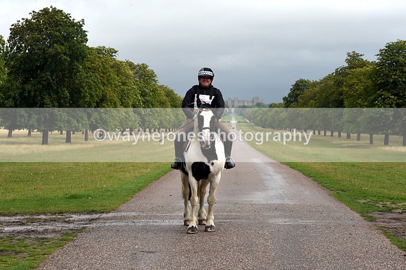 TT3_8256 - Time at Crossing 10:16 to 11:38