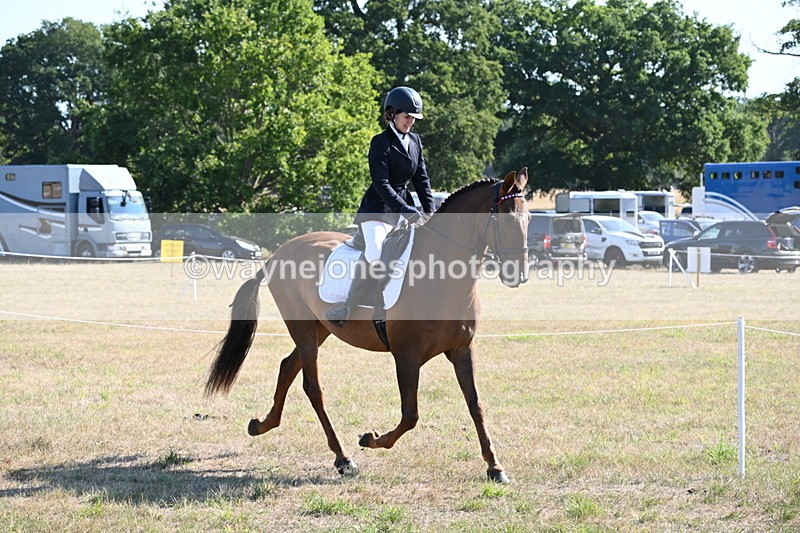 WJ6_7210 - Class 33 Rescue Pony