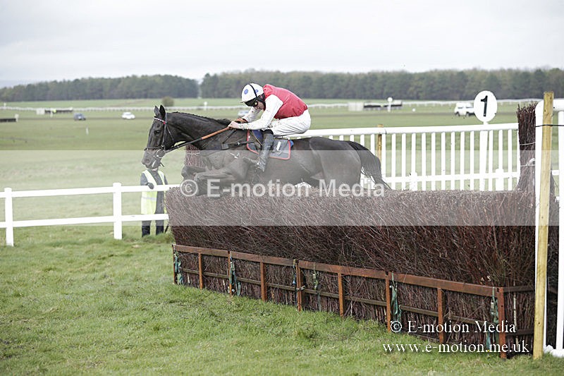 PtP 150320 0412 - New Forest Point-to-Point Larkhill 15/03/20