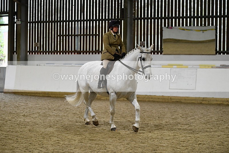 WJ5_9037 - Class 15 Ridden Show Horse