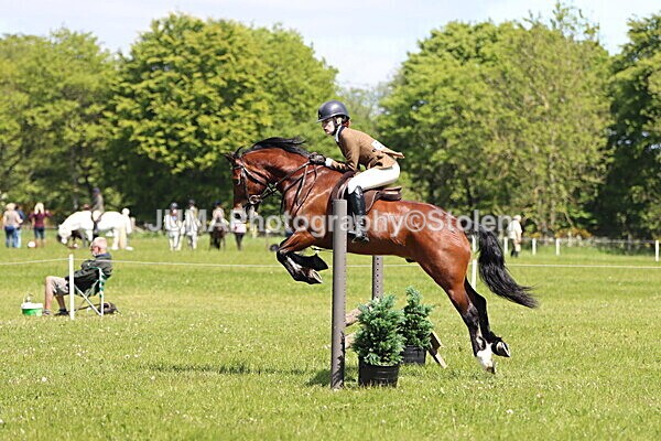 IMG_3736 - Working Hunter
