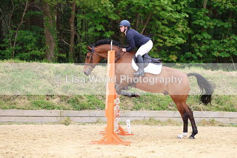 3E7A6379 - Class 4: Senior British Novice/90cm open