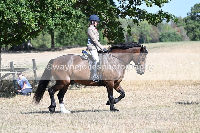 WJ7_3892 - Class 9 Mountain & Moorland Ridden