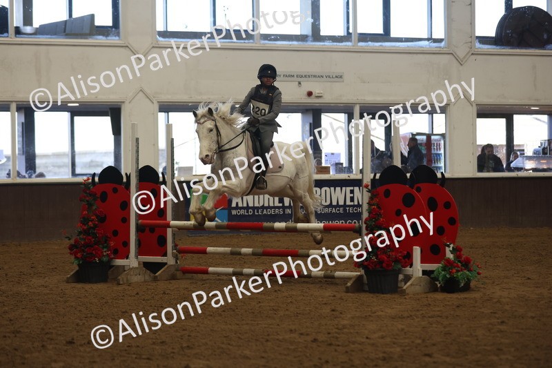 20260314-3395 - 80cm