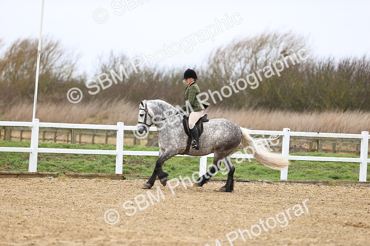 SBM_007552 - Class 31-32 - M&M Confined Novice Small-Large