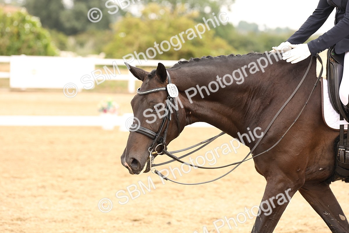 SBM_005612 - Class 12 - Elementary 6 Silver - 10.36-11.32