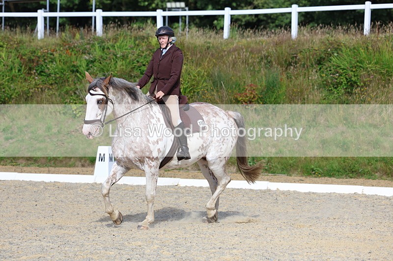 3E7A3311 - Class 2: Intro 1 2024 Section B