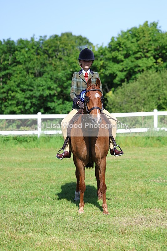 3E7A6043 - Class 27: Novice Working Hunter Pony