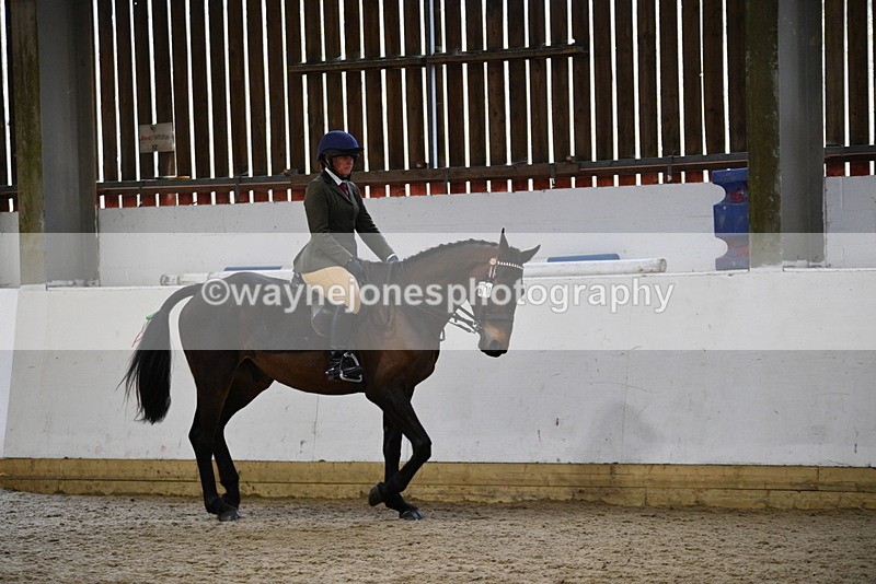 WJ5_7991 - Class 13 Ridden Part Breed