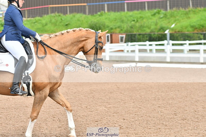 230511A-144827-01011 - BD Cls 14 Adv Medium 98