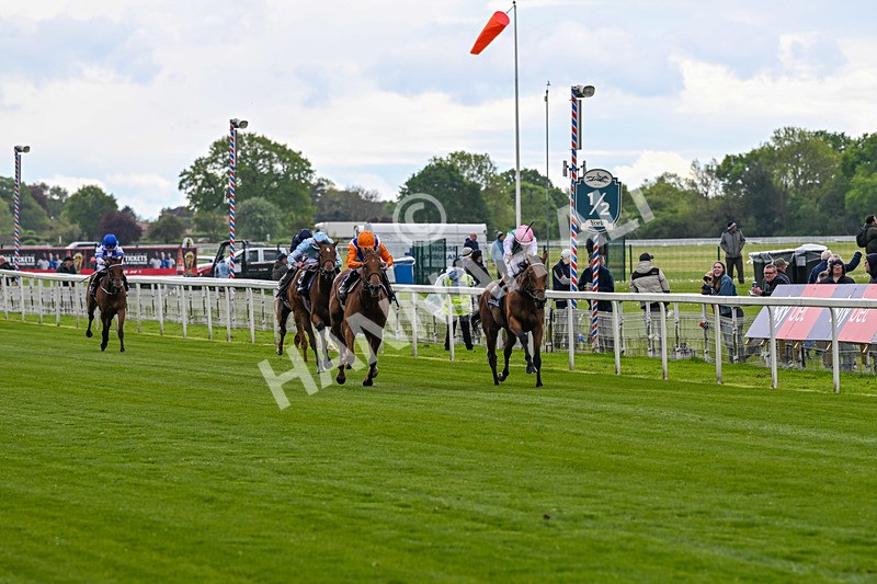 130526-Race 5-Legacy Link-3214 - Race 5 4.05pm Tattersalls Musidora Stakes