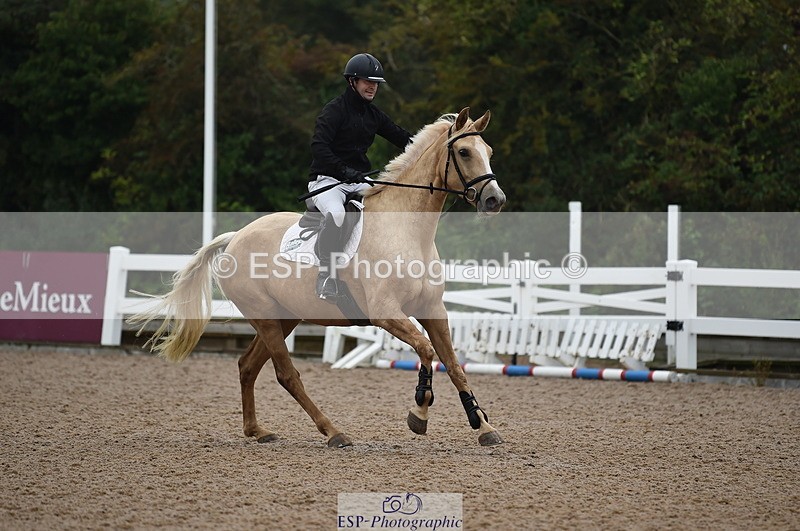 220829A-160358-00137 - 70cm Classes 3a 3b & 4