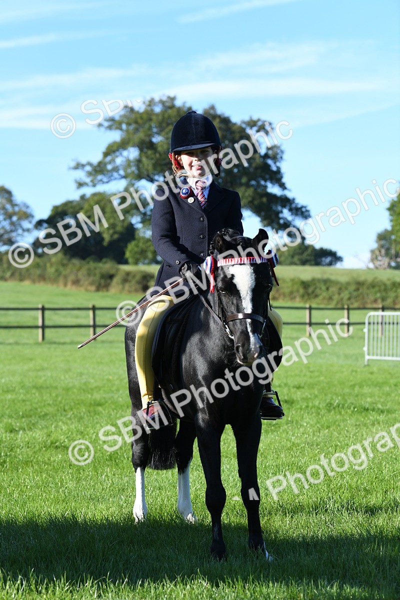 SBM_34069 - S16 - Condition & Turnout - Ridden