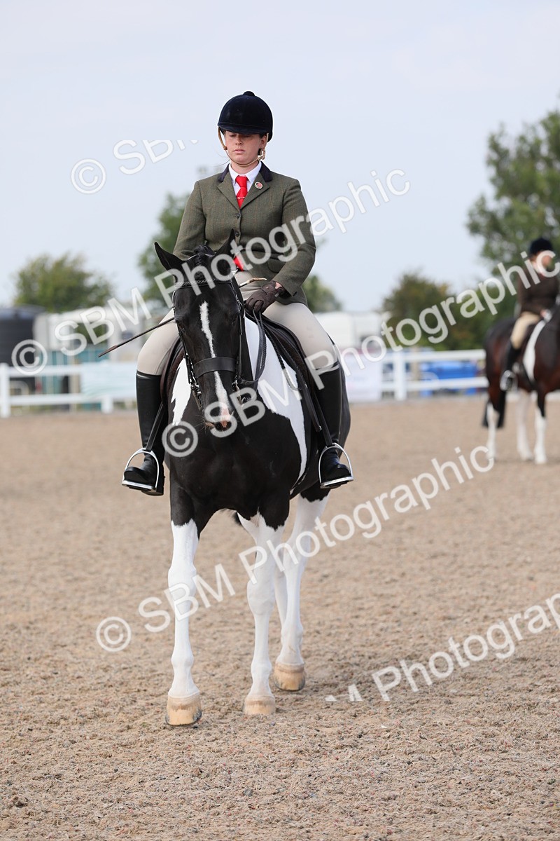 SBM_13477 - Class 308 Ridden Coloured Horse