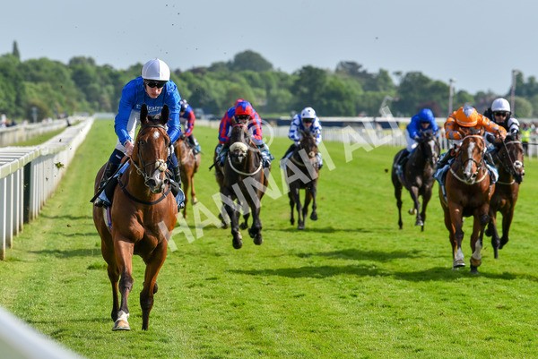 270523-Race 7-Shining Blue-4672 - Race 7 5.00pm Reg Bond Always And Forever Handicap