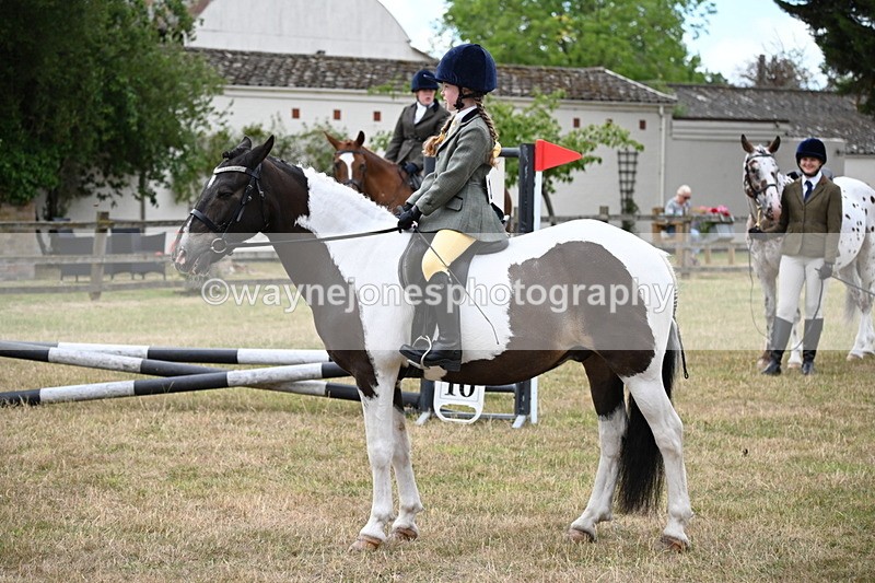 WJ6_3876 - Class 9 Tack & Turnout