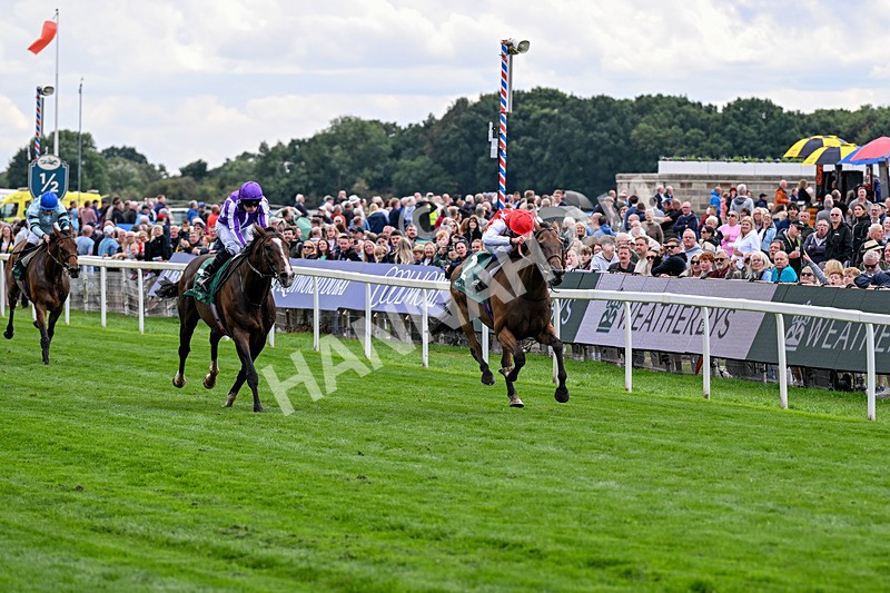 210826-Race 2-Al Nayyir-5381 - Race 2 14.25pm Weatherbys Lonsdale Cup Stakes