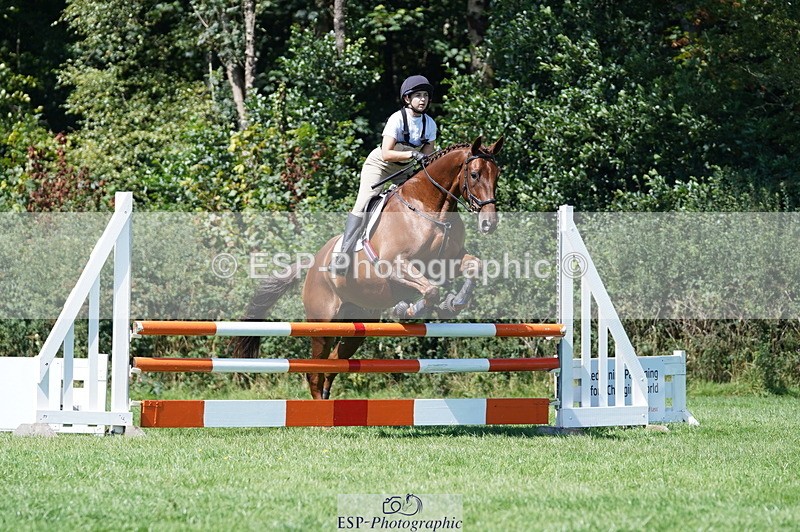 240811A-141142-04206 - 217-