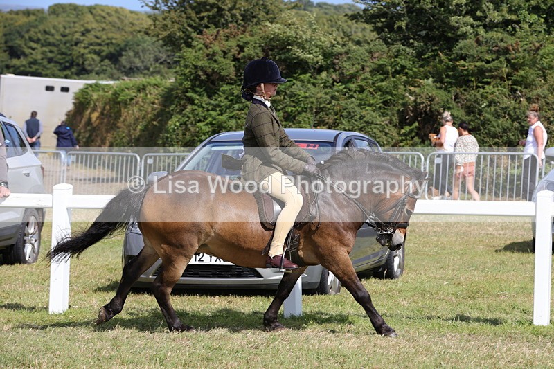 1X9A5589 - Class 39: NPS Dartmoor, Exmoor, Shetland