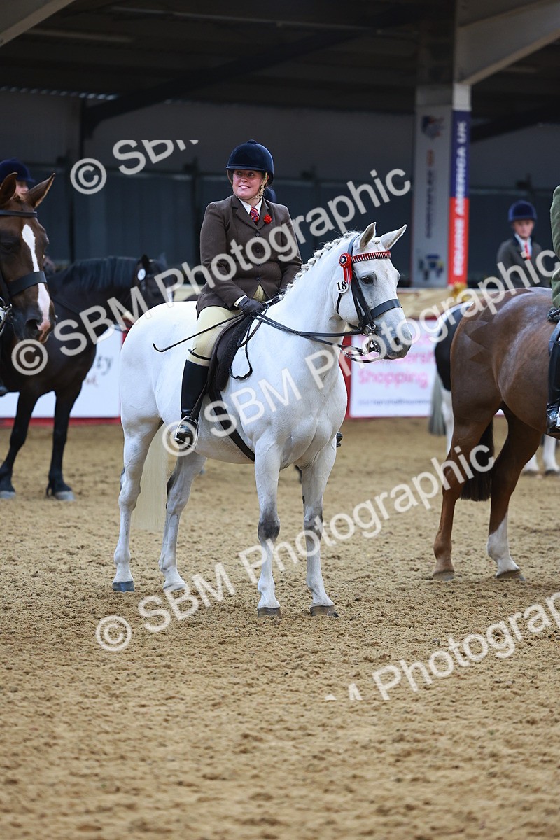 SBM_12681 - Class 103 - HOYS Veteran Qualifier - Ridden Pre Vet