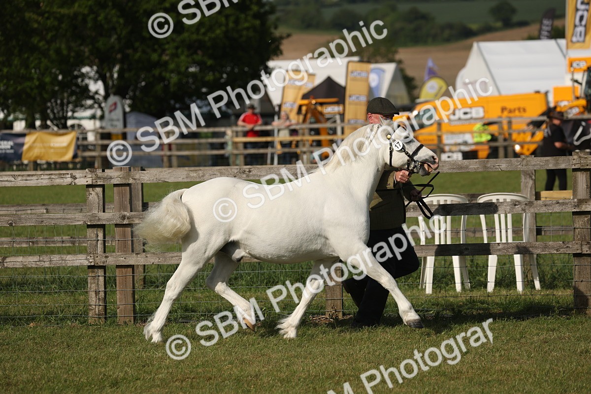 SBM_10341 - Class 33-38 - SSADL RIHS Qualifiers
