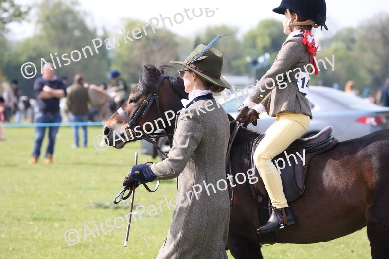 20260426-2466 - Class 31 - Leading Rein