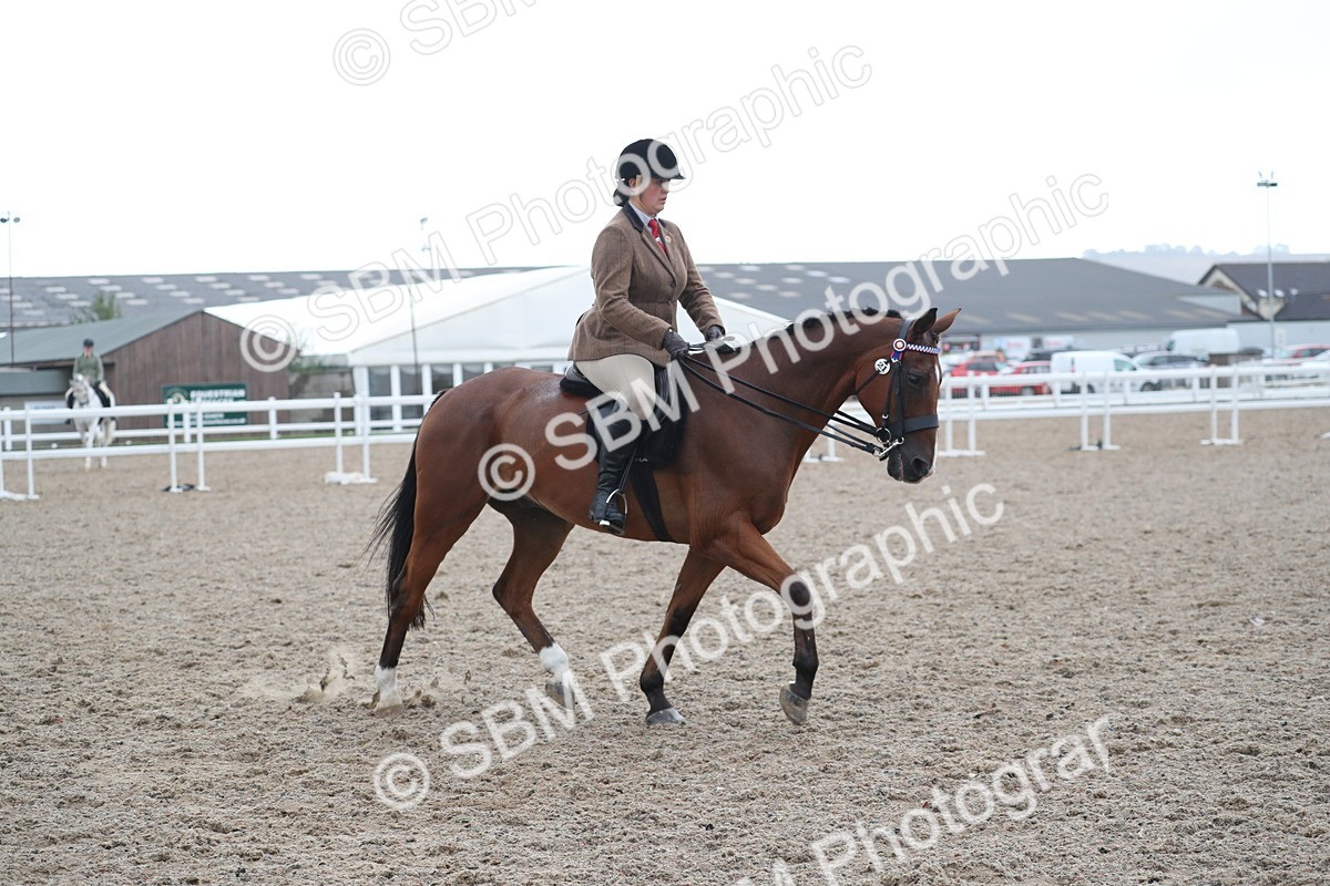 SBM_21586 - Class 602 - 2025 Area - Ridden Veteran