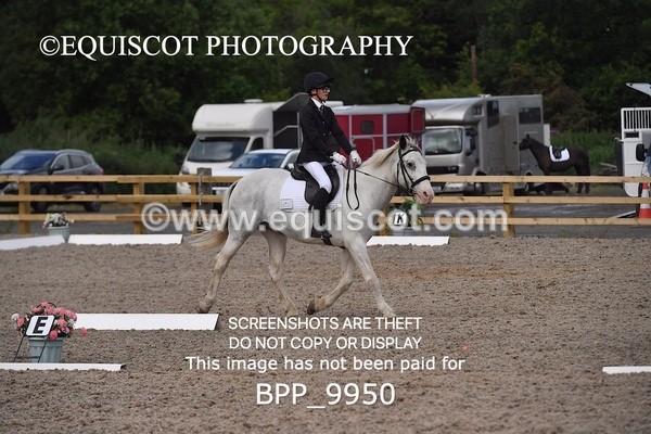 BPP_9950 - SHORT ARENA  MY QUEST PRELIM