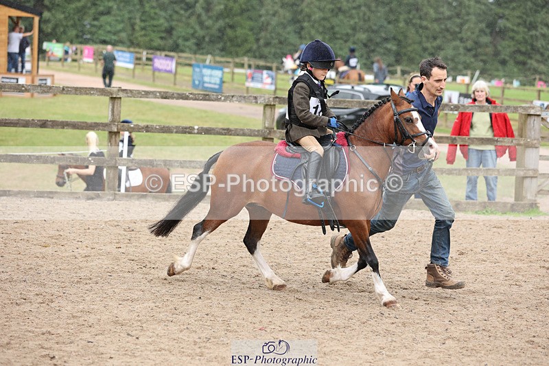 240822X-140159-07634 - 40cm LR R1 12.20 to 14.10