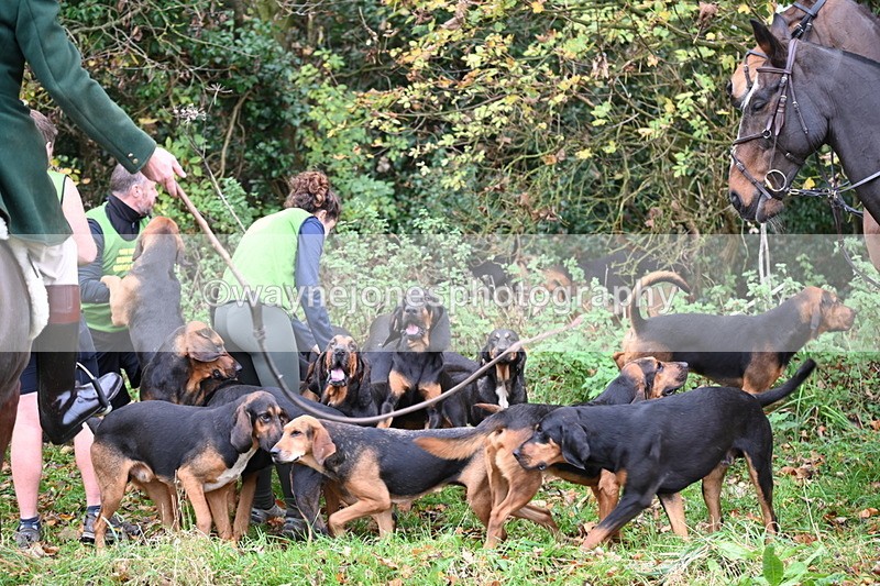 WJ6_8537 - Meet
