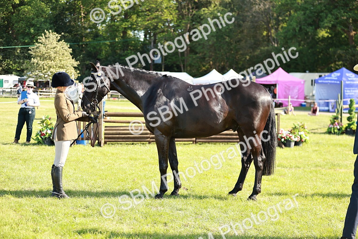 SBM_19293 - Class 115-116 - LIHS BSHA Rising Star Working Hunter & Show Horse