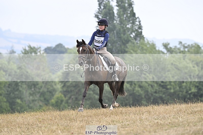 250824A-122719-36361 - 2065-Tabby.Speid-Soote