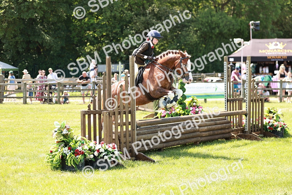 SBM_15593 - Class 108-109 - BSPS LIHS Open Gradle & Nursery Stakes