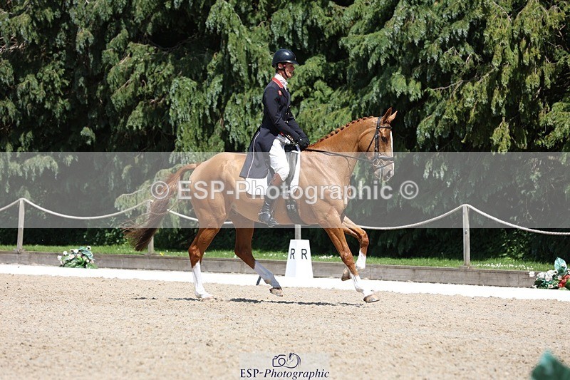 230526-140123-06439 - 370-DUKE_LEGACY-William_Fox-Pitt-WEDTrotUp+DR