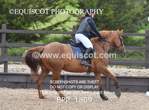 BPP_1809 - DERBY CLASS 5 - 60CM