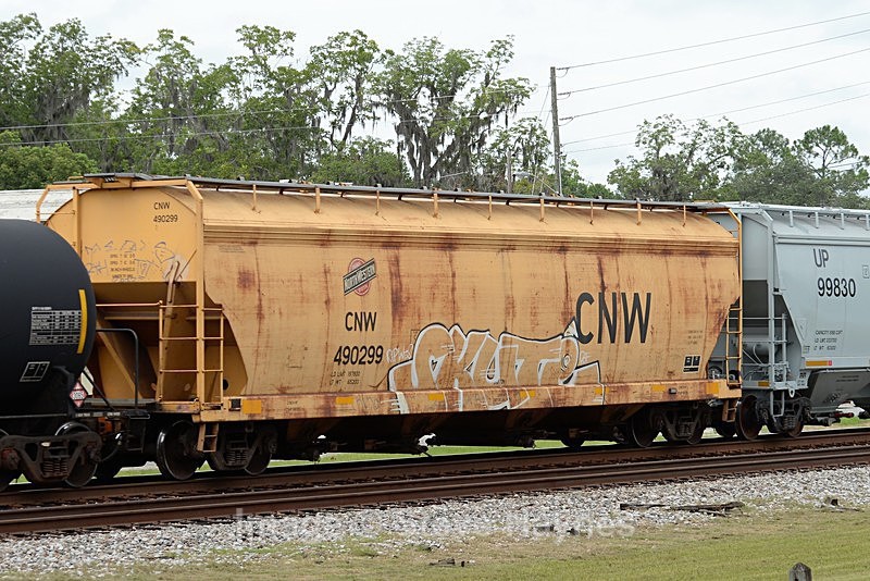 9th Aug 2017 - Folkston Funnel, GA
