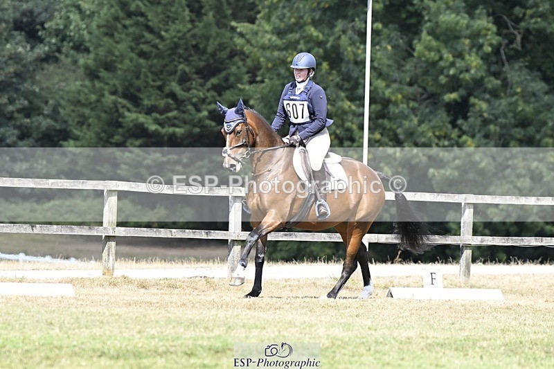 250822A-120023-22519 - DR 11.00 to 12.00