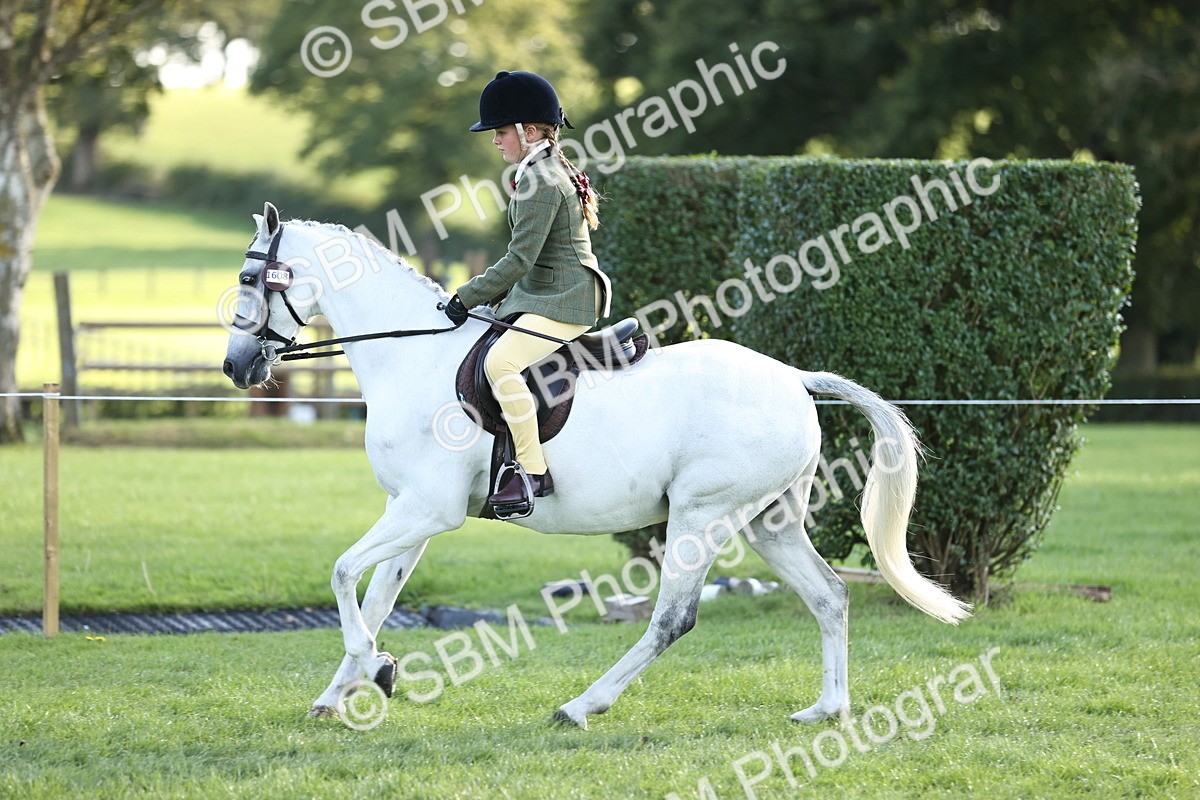 SBM_29458 - S7 - Novice & Newcomers Ridden Pony