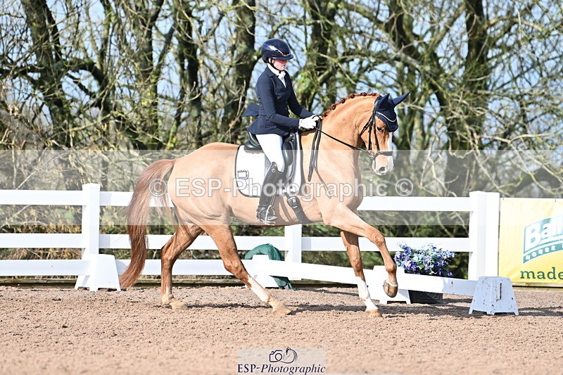 240218A-114409-06822 - 272-Beth.Bainbridge-Newton.Dreamcatcher