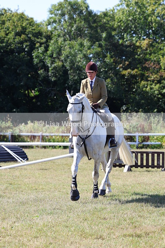 3E7A5860 - Class 5: Working Hunter 90cm