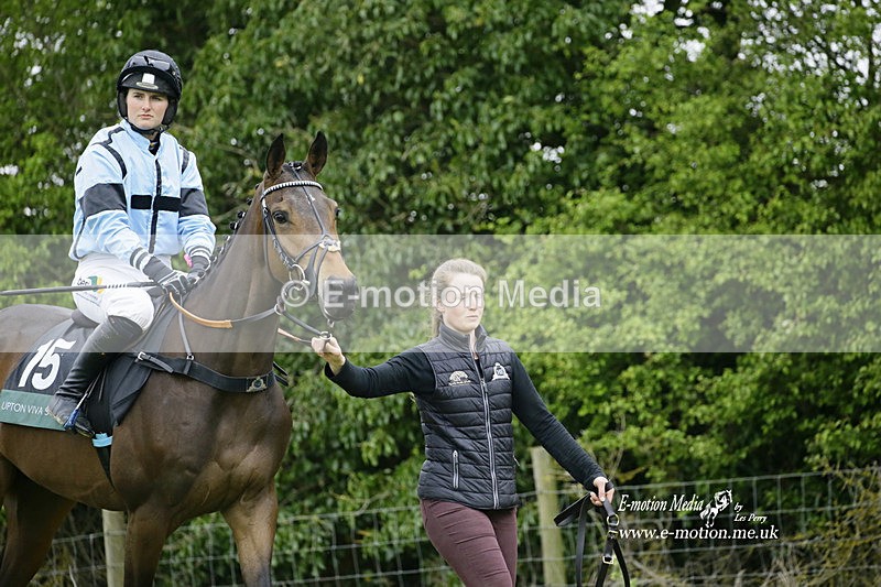 PtP 020522 528 - Mollington Races Point-to-Point 02/05/22